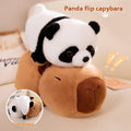7b4052ea8bff5e9a5a79f085e7c7bab2